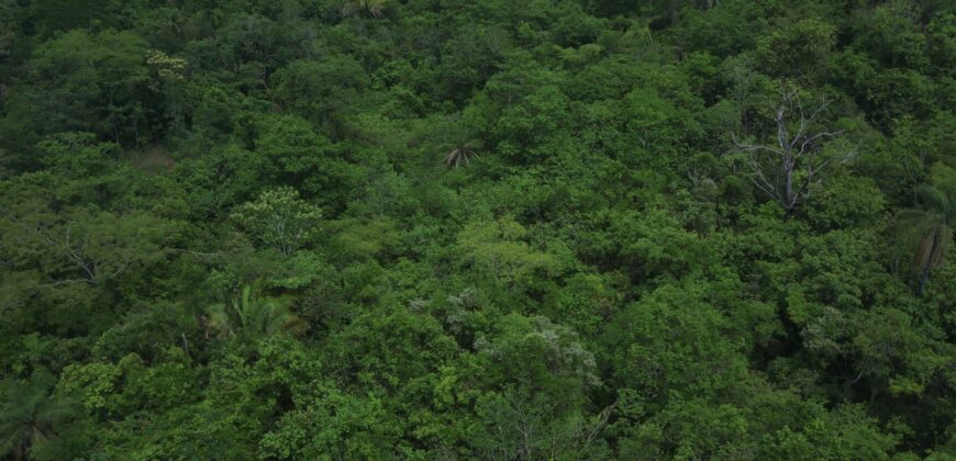 Maravilhosa Chácara de 37ha – Rio – Alto Paraíso de Goiás