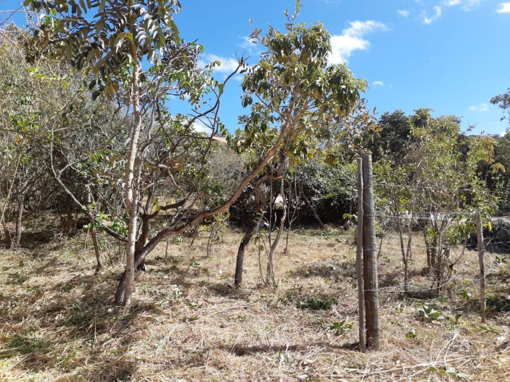 Lote 500.90 m2 – Rua Violeta – Eldorado 1 – Alto Paraíso de Goiás