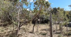 Lote 500.90 m2 – Rua Violeta – Eldorado 1 – Alto Paraíso de Goiás