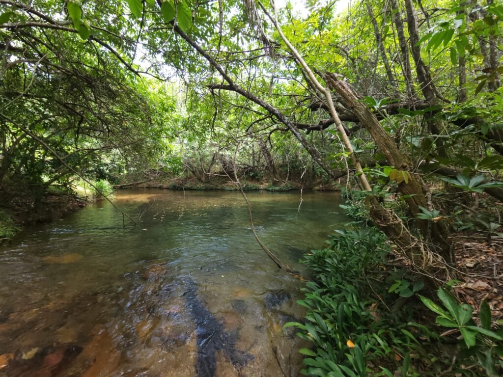 Maravilhosa Chácara de 37ha – Rio – Alto Paraíso de Goiás
