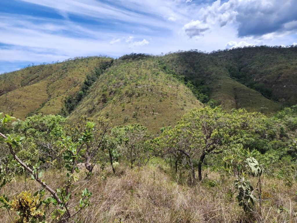 Lote 1.065m2 – 30m2 da Cachoeira da Usina – Urbano – Poço Artesiano – Alto Paraíso de Goiás