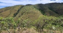 Lote 1.065m2 – 30m2 da Cachoeira da Usina – Urbano – Poço Artesiano – Alto Paraíso de Goiás Lote 1.065m2 – 30m2 da Cachoeira da Usina – Urbano – Poço Artesiano – Alto Paraíso de Goiás