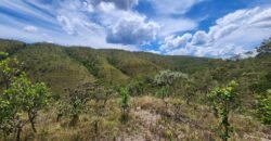 Lote 1.065m2 – 30m2 da Cachoeira da Usina – Urbano – Poço Artesiano – Alto Paraíso de Goiás Lote 1.065m2 – 30m2 da Cachoeira da Usina – Urbano – Poço Artesiano – Alto Paraíso de Goiás