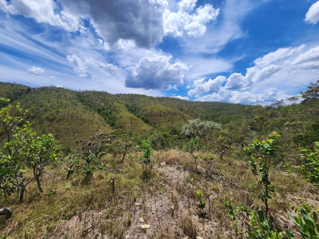 Lote 1.065m2 – 30m2 da Cachoeira da Usina – Urbano – Poço Artesiano – Alto Paraíso de Goiás