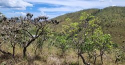 Lote 1.065m2 – 30m2 da Cachoeira da Usina – Urbano – Poço Artesiano – Alto Paraíso de Goiás Lote 1.065m2 – 30m2 da Cachoeira da Usina – Urbano – Poço Artesiano – Alto Paraíso de Goiás