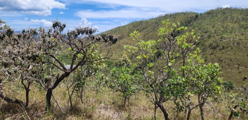 Lote 1.065m2 – 30m2 da Cachoeira da Usina – Urbano – Poço Artesiano – Alto Paraíso de Goiás