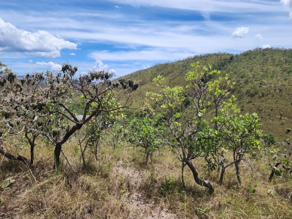 Lote 1.065m2 – 30m2 da Cachoeira da Usina – Urbano – Poço Artesiano – Alto Paraíso de Goiás