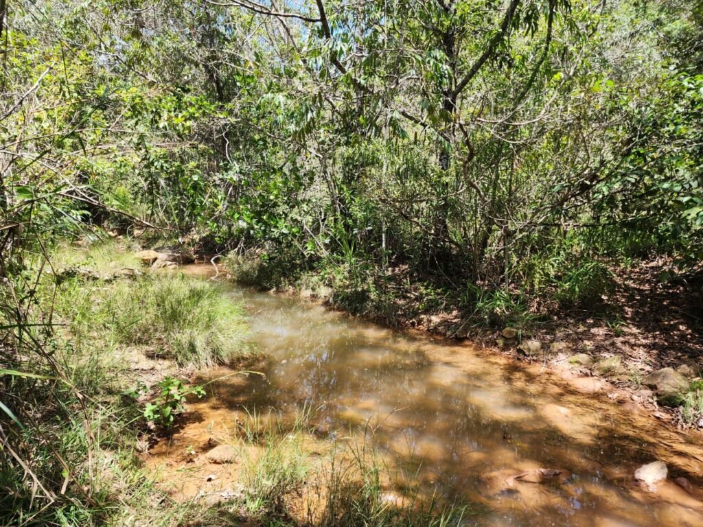 Propriedade 58ha – Água de nascente – 2 km de Centro de Alto Paraíso – Chapada dos Veadeiros