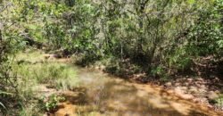Propriedade 58ha – Água de nascente – 2 km de Centro de Alto Paraíso – Chapada dos Veadeiros