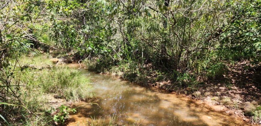 Propriedade 58ha – Água de nascente – 2 km de Centro de Alto Paraíso – Chapada dos Veadeiros
