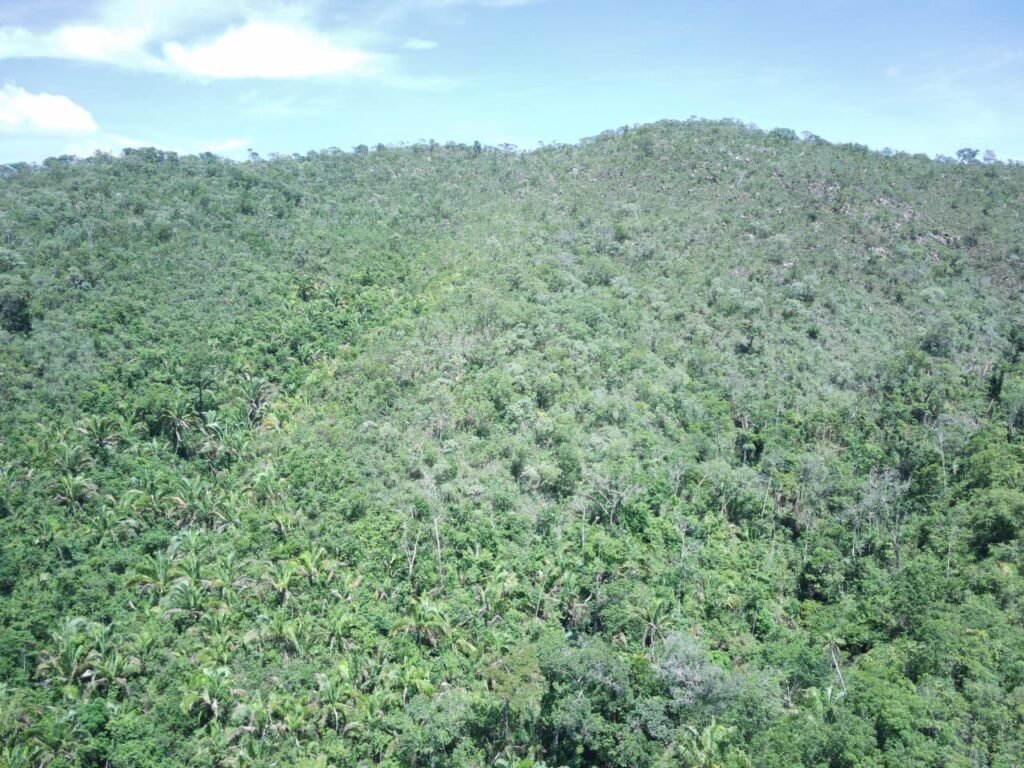 Propriedade 58ha – Água de nascente – 2 km de Centro de Alto Paraíso – Chapada dos Veadeiros