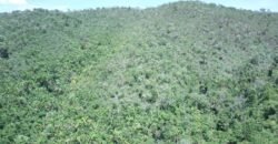 Propriedade 58ha – Água de nascente – 2 km de Centro de Alto Paraíso – Chapada dos Veadeiros