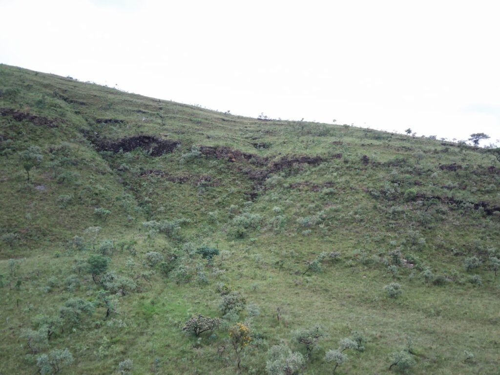 Chácara 4.9ha – Vale Verde – Sentido Pousada Inácia – Alto Paraíso de Goiás