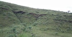 Chácara 4.9ha – Vale Verde – Sentido Pousada Inácia – Alto Paraíso de Goiás