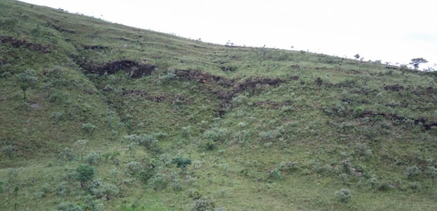Chácara 4.9ha – Vale Verde – Sentido Pousada Inácia – Alto Paraíso de Goiás