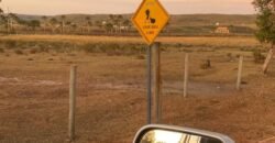 Chácara 4.9ha – Vale Verde – Sentido Pousada Inácia – Alto Paraíso de Goiás