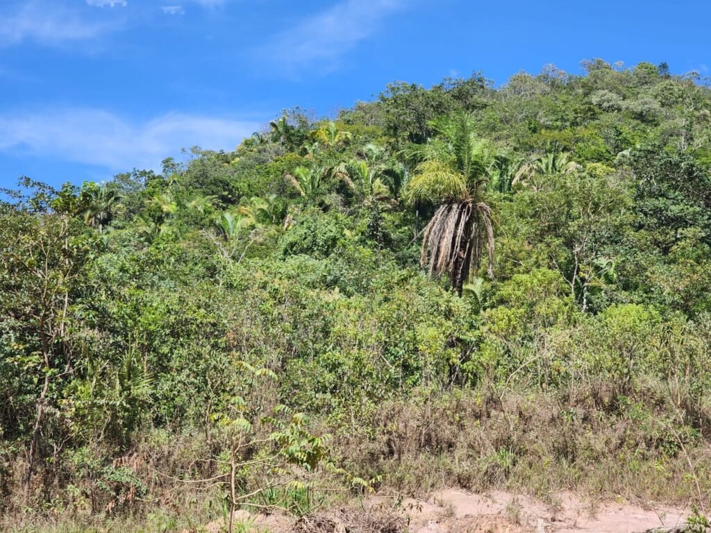 Propriedade 58ha – Água de nascente – 2 km de Centro de Alto Paraíso – Chapada dos Veadeiros