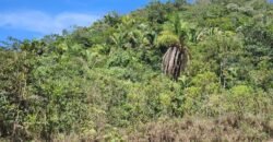 Propriedade 58ha – Água de nascente – 2 km de Centro de Alto Paraíso – Chapada dos Veadeiros