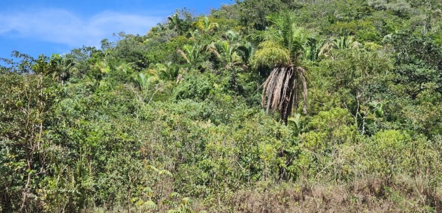 Propriedade 58ha – Água de nascente – 2 km de Centro de Alto Paraíso – Chapada dos Veadeiros