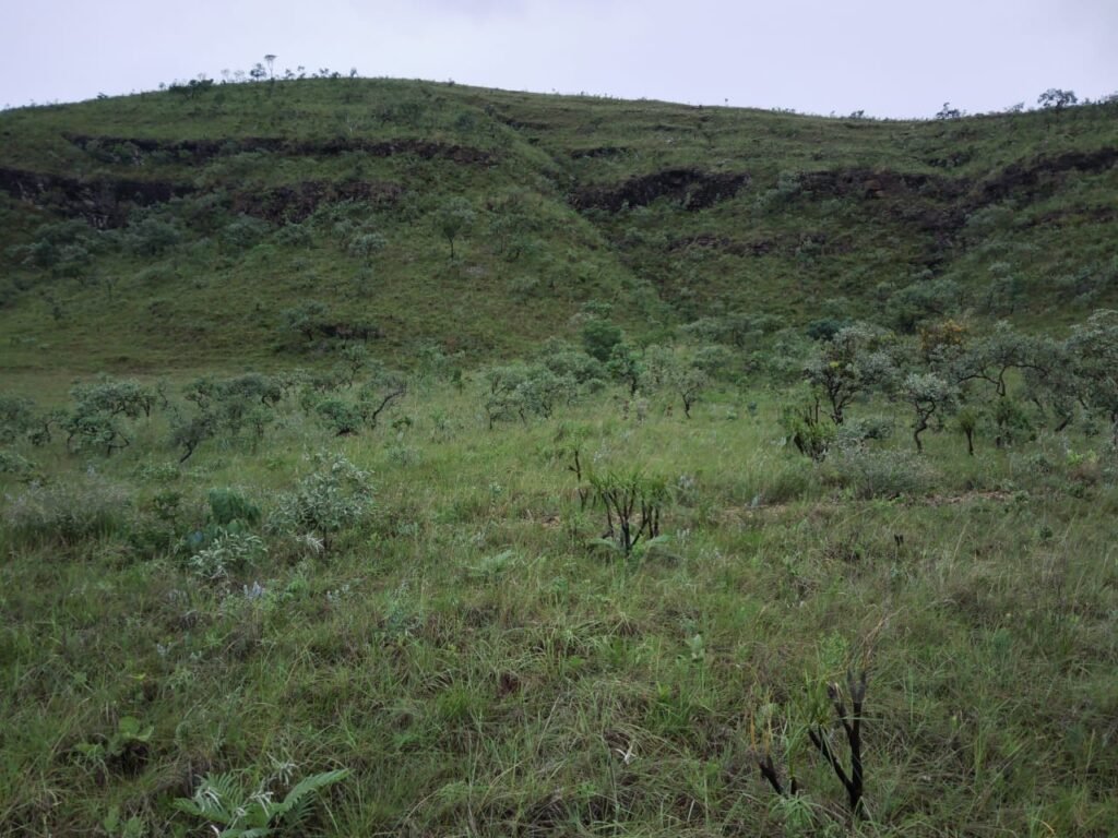 Chácara 4.9ha – Vale Verde – Sentido Pousada Inácia – Alto Paraíso de Goiás