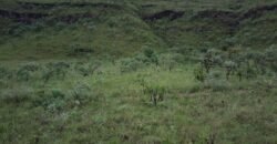 Chácara 4.9ha – Vale Verde – Sentido Pousada Inácia – Alto Paraíso de Goiás