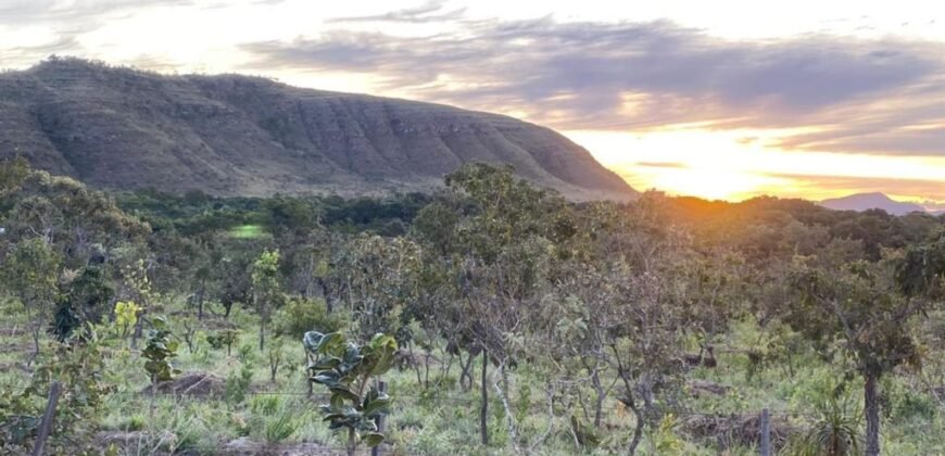 Chácara 4.9ha – Vale Verde – Sentido Pousada Inácia – Alto Paraíso de Goiás