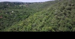 Propriedade 58ha – Água de nascente – 2 km de Centro de Alto Paraíso – Chapada dos Veadeiros