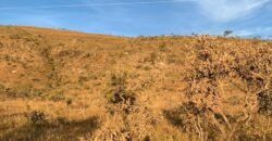 Chácara 4.9ha – Vale Verde – Sentido Pousada Inácia – Alto Paraíso de Goiás