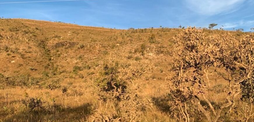 Chácara 4.9ha – Vale Verde – Sentido Pousada Inácia – Alto Paraíso de Goiás