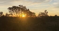 Chácara 4.9ha – Vale Verde – Sentido Pousada Inácia – Alto Paraíso de Goiás