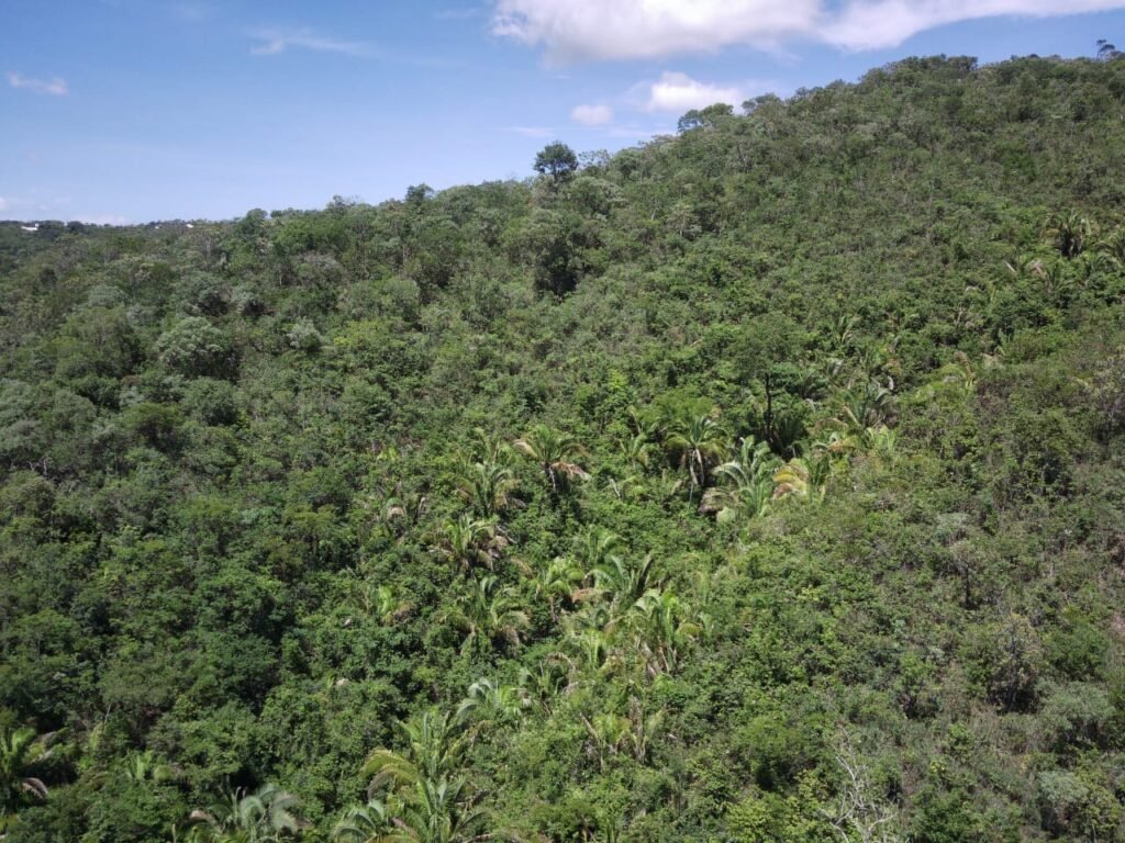 Propriedade 58ha – Água de nascente – 2 km de Centro de Alto Paraíso – Chapada dos Veadeiros
