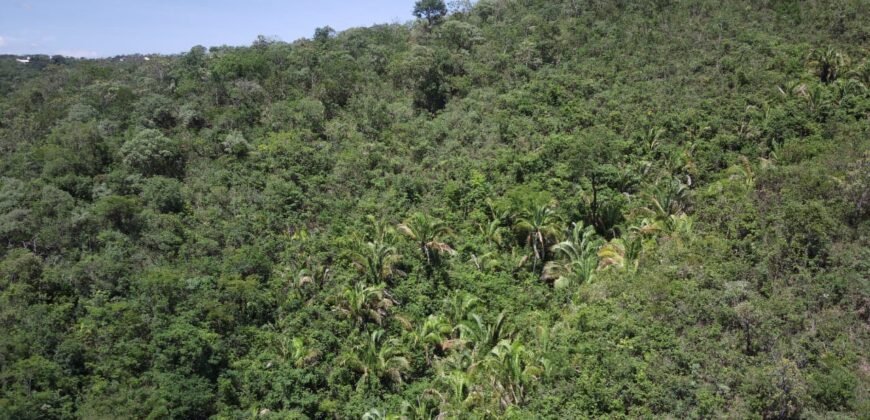 Propriedade 58ha – Água de nascente – 2 km de Centro de Alto Paraíso – Chapada dos Veadeiros