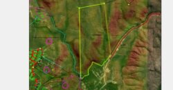 Propriedade 58ha – Água de nascente – 2 km de Centro de Alto Paraíso – Chapada dos Veadeiros