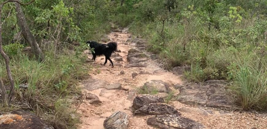 Chácara 4.9ha – Vale Verde – Sentido Pousada Inácia – Alto Paraíso de Goiás