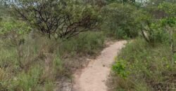 Chácara 4.9ha – Vale Verde – Sentido Pousada Inácia – Alto Paraíso de Goiás