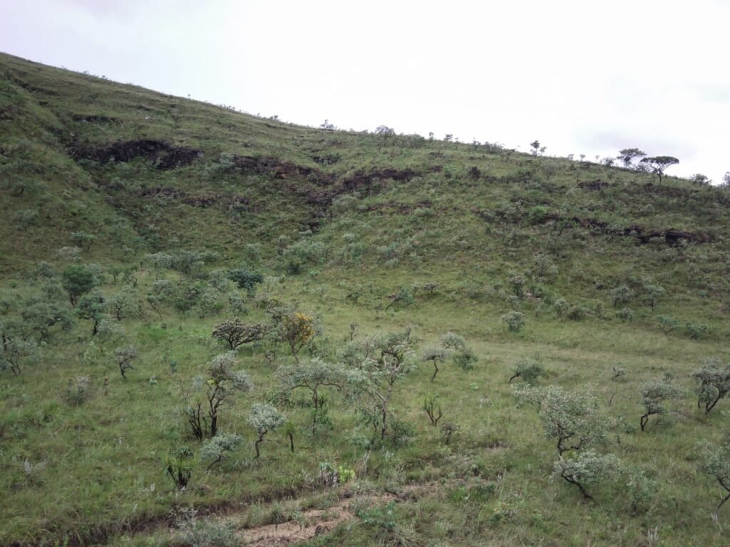 Chácara 4.9ha – Vale Verde – Sentido Pousada Inácia – Alto Paraíso de Goiás
