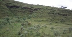 Chácara 4.9ha – Vale Verde – Sentido Pousada Inácia – Alto Paraíso de Goiás