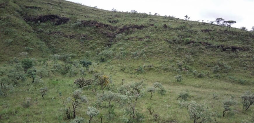 Chácara 4.9ha – Vale Verde – Sentido Pousada Inácia – Alto Paraíso de Goiás