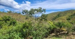 Propriedade Urbana 42.4 ha – Margem Cachoeira da Usina – Alto Paraíso – Chapada dos Veadeiros