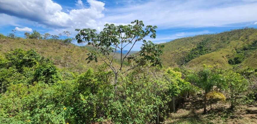 Propriedade Urbana 42.4 ha – Margem Cachoeira da Usina – Alto Paraíso – Chapada dos Veadeiros