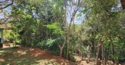 Propriedade Urbana 42.4 ha – Margem Cachoeira da Usina – Alto Paraíso – Chapada dos Veadeiros