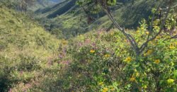 Propriedade Urbana 42.4 ha – Margem Cachoeira da Usina – Alto Paraíso – Chapada dos Veadeiros