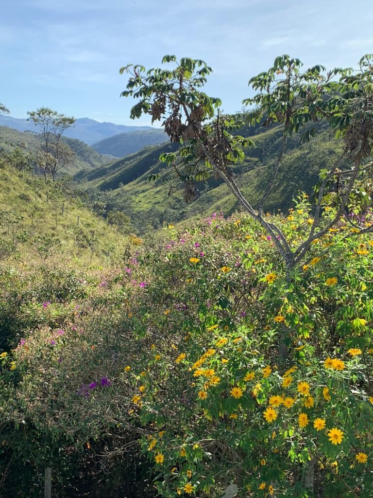 Propriedade Urbana 42.4 ha – Margem Cachoeira da Usina – Alto Paraíso – Chapada dos Veadeiros