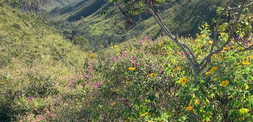 Propriedade Urbana 42.4 ha – Margem Cachoeira da Usina – Alto Paraíso – Chapada dos Veadeiros