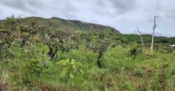 3 Casas – Maravilhosa Vista para Morro da Baleia – Margem Rio das Cobras – Alto Paraíso de Goiás – Chapada dos Veadeiros 3 Casas – Maravilhosa Vista para Morro da Baleia – Margem Rio das Cobras – Alto Paraíso de Goiás – Chapada dos Veadeiros