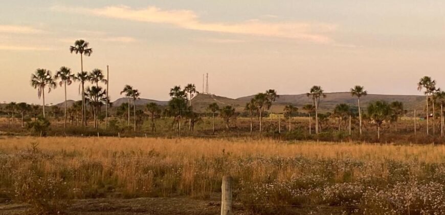 Chácara 4.9ha – Vale Verde – Sentido Pousada Inácia – Alto Paraíso de Goiás