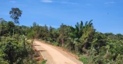 Propriedade 58ha – Água de nascente – 2 km de Centro de Alto Paraíso – Chapada dos Veadeiros