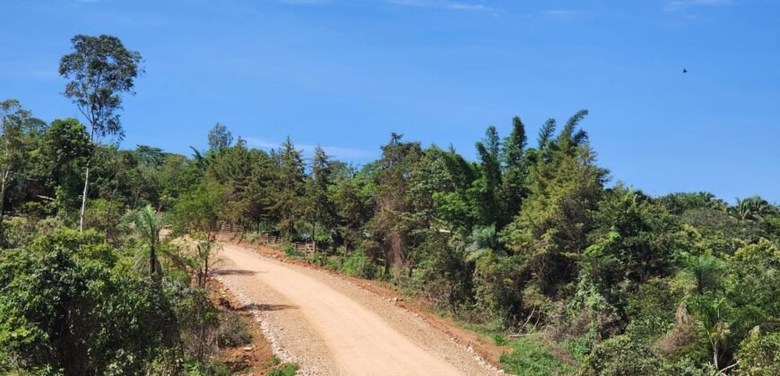 Propriedade 58ha – Água de nascente – 2 km de Centro de Alto Paraíso – Chapada dos Veadeiros