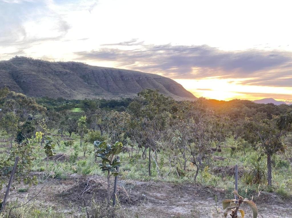 Chácara 4.9ha – Vale Verde – Sentido Pousada Inácia – Alto Paraíso de Goiás