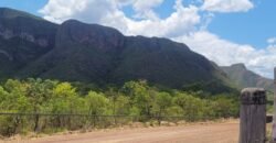 Propriedade de 1 a 3 Alqueires na Comunidade do Sertão – Chapada dos Veadeiros Propriedade de 1 a 3 Alqueires na Comunidade do Sertão – Chapada dos Veadeiros